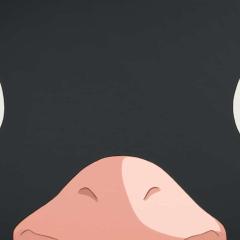 企鹅公路 - wOdz4EerN9mQOMWGkwdQzm7yCBV.jpg