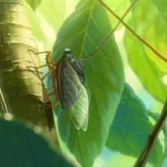 昨日青空 - ezXBEjLdUs8rqCWQVOjvsRpSNFJ.jpg