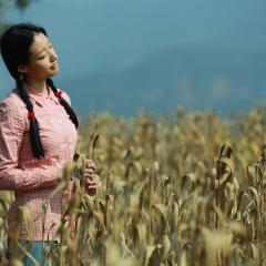 喊·山 - u8dM8rlB8rlgkKLVziUmH6mzohw.jpg
