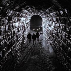 死亡地带 - oiSvxIqeNeeHLH7frTt3PNuHVcw.jpg