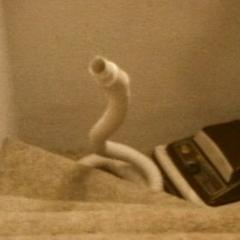 Over-Sexed Rugsuckers from Mars - x6DfF7AtwvMvzrBJAA1Xy9NRqEq.jpg