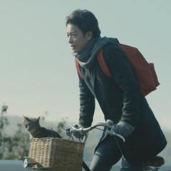 假如猫从世界上消失了 - aHtNe1ATtyjP47jeeuQ2peols0O.jpg
