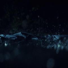 不死劫 - h69Ga004bNSRs8ZOr45FdxHuh9S.jpg