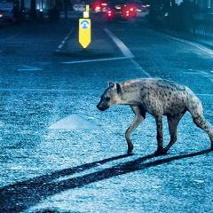 鬣狗警察 - ug6onmk8r7YHAn36DuCitiu9FFT.jpg
