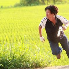 奔跑的乌龟Turtles Run - D9483-34.jpg