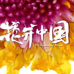 花开中国 - sINRmgtr7w3aHhEg1NrChjpHpDX.jpg