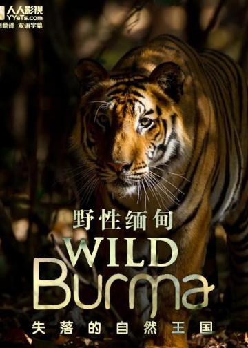 野性缅甸：失落的自然王国