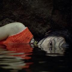 我要复仇 - ctA83AEOo0XGZRvibkCpXVkZy5.jpg