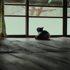 小森林：夏秋篇 - 4C0vUbrep4V47PdmxCC4YwQQ4fR.jpg