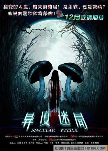 异度迷局