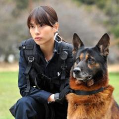 狗与警察 - auRl4eQ8heGSRI4eCBHMZc3tALf.jpg