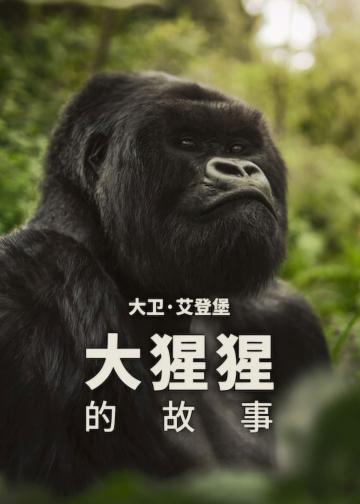大卫·艾登堡：大猩猩的故事