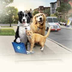 猫狗大战3：爪爪集结！ - bLDpDWS67GVtfK35XfH3kCsliQR.jpg