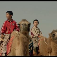 家在水草丰茂的地方 - iqrA2x5FERyOLHYYkZfY0eJ17fa.jpg