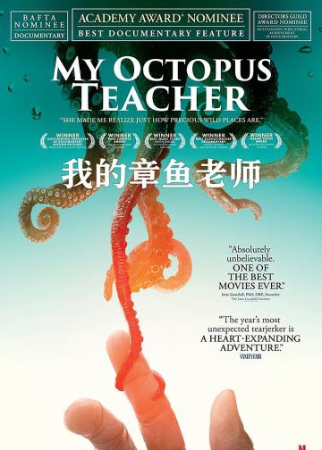 我的章鱼老师