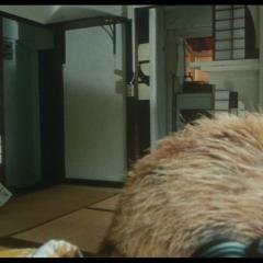 生存还是毁灭之逃亡者 - glnrHy0e4fuGdDM7sNe3GtlpKmo.jpg