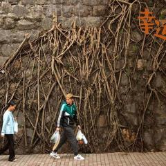 幸运是我 - asqHkxLxp5C3cbpj6Ue23KLEusV.jpg