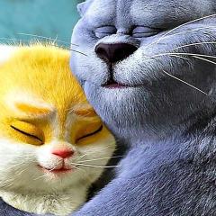猫与桃花源 - tHL3g8oi24v0RGHqa0V9hM52b77.jpg