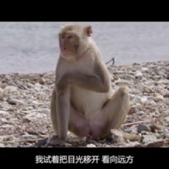 不为人知的故事 - p1610377020189779966.jpg