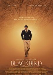 Butcher & Blackbird