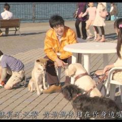 向日葵与幼犬的7天 - 7-Days-of-Sunflower-and-Her-Puppies-2.jpg