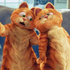 加菲猫2 - 32P3nR9T7TDQfVOwZ7Wf0QvPVRH.jpg