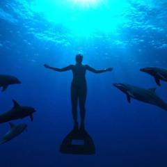 海豚湾 - gpyu3jQeMQeUFAVjCSrVCrYYK3f.jpg