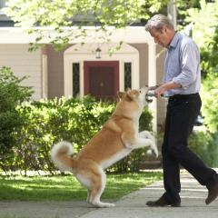 忠犬八公的故事 - a5pOEjOLvr04Hr8qktIDM75OZi0.jpg