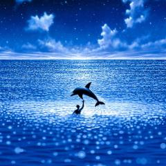 碧海蓝天 - 8xGPDLw4VKm0tuxrMUwuI1Lh9mI.jpg
