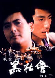 我在黑社会的日子
