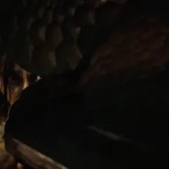 猎战狂徒 - p177841454185369286.webp
