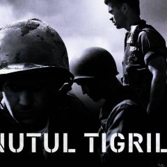 老虎连 - 42zhBetumV341Td8GBoJaHXH7oU.jpg
