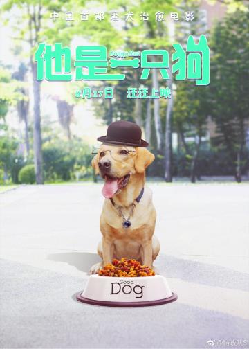 他是一只狗
