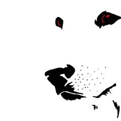 白狗 - yYddTCIoWvpVl9hbyqEQV3OsX61.jpg