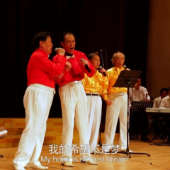 Dream at the Age of 86 - 6887eabf372379a6.png