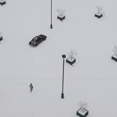 冰血暴 - lEoLYXbQGtBL3LSFOhTtsmzCLui.jpg