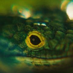 求救眨眨眼 - 2SpMH5CHZX9FEEWtR4m9hmufaXX.jpg