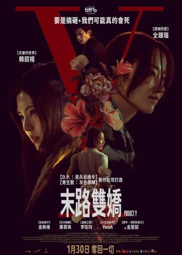 Y计划