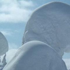 带子雄狼6：雪原生死道 - cBGOeWGDb5IlLJ1Zd84UiYH30PR.jpg