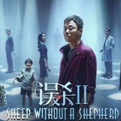 误杀2 - 8Oh4kpTRORkcvfkPwaWNoHusI9K.jpg