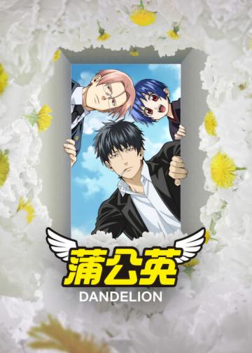 蒲公英