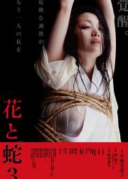 花与蛇3
