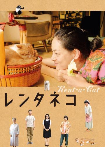 租赁猫
