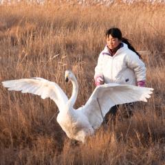 我和我的伙伴 - f1y8czgpE28PC5oLHFaoPUqP3MM.jpg