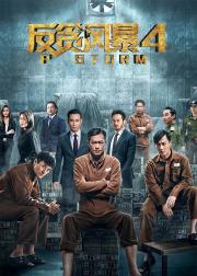 反贪风暴4
