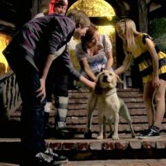 The Dog Who Saved Halloween - ltlsCYXuFoXsoPFby8UzYUXG9eN.jpg