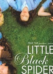 Little Black Spiders