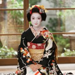 窈窕舞妓 - d8Yqn5H0hNkVS7fjjCE4FptrcoB.jpg