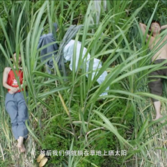 奇袭胡家台 - d68fb172f5cfeeef.png