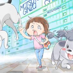 养狗与猫每天都很开心 - wVDTwHciIvECAWeFt9CTNZ8vxwZ.jpg